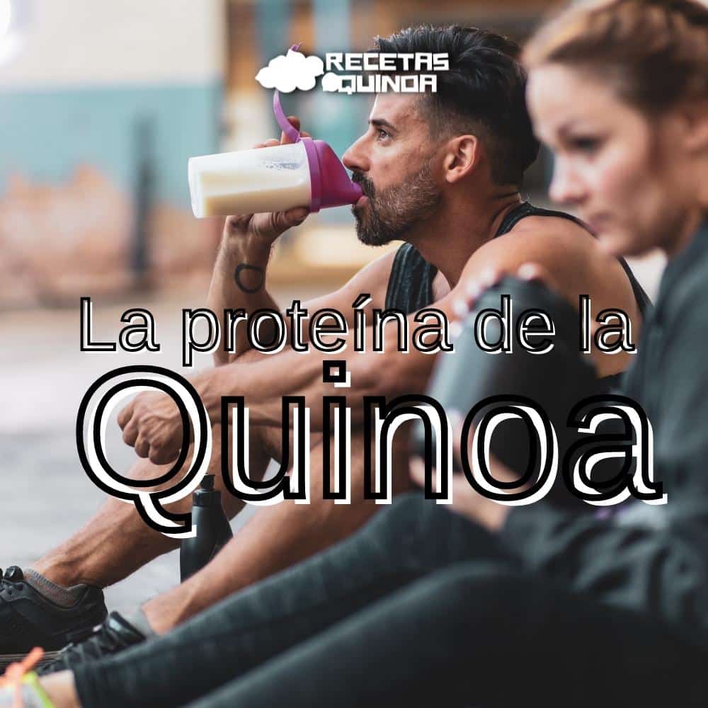 Quinoa proteína
